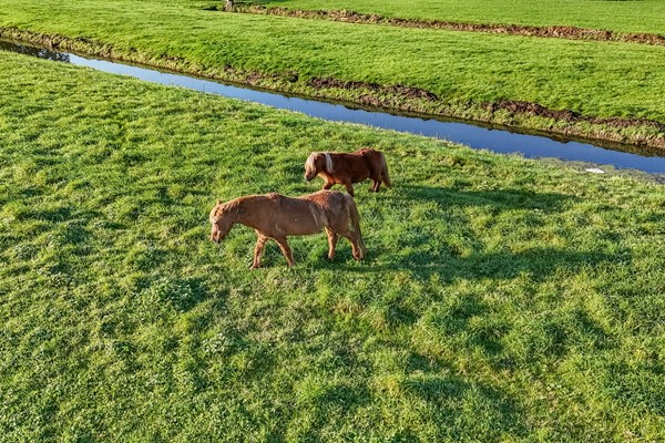 Makelaardij IJsselstein Lopikerweg-oost 29A Makelaardij IJsselstein Lopik 44.jpg
